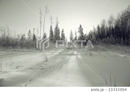 monochrome winter landscape monochrome winter landscape 23332004