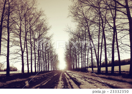 landscape road spring village in March landscape road spring village in March 23332350