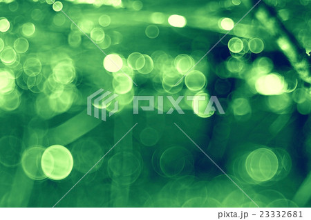 bokeh blurred background green grass leaves 23332681