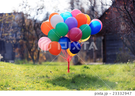 many colorful balloons nature landscape many colorful balloons nature landscape 23332947