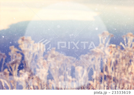 blurred winter background with a circle for the text of nature blurred winter background with a circle for the text of nature 23333619