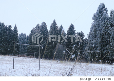 landscape winter forest in hoarfrost background landscape winter forest in hoarfrost background 23334146