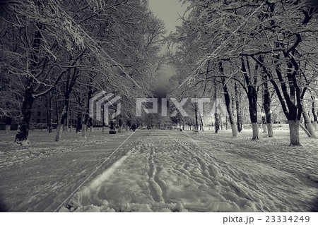 Night winter landscape in the alley of city park Night winter landscape in the alley of city park 23334249