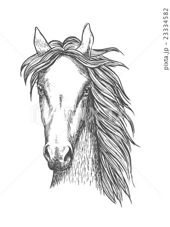 Muscular thoroughbred horse sketch symbol Muscular thoroughbred horse sketch symbol 23334582