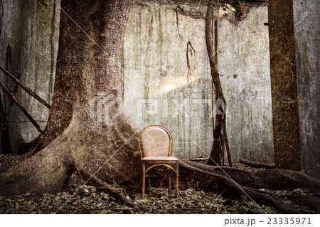 spooky tree and the empty chair 23335971
