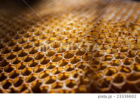 Old honeycomb 23336602
