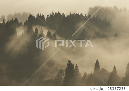 松之山　朝霧 23337233