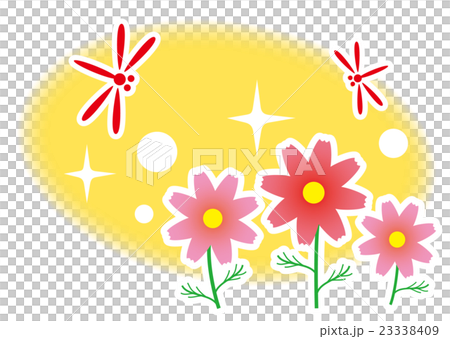 秋桜と赤とんぼ 23338409