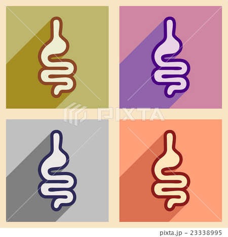 Icons of assembly human intestines in flat style 23338995