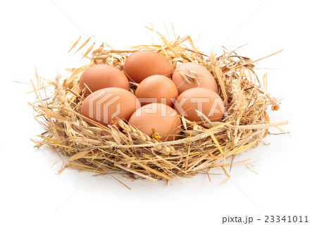 Chicken eggs in nest. 23341011