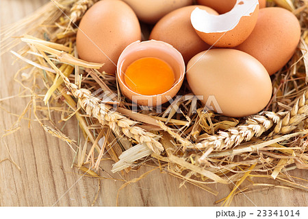 Chicken eggs in nest. Chicken eggs in nest. 23341014