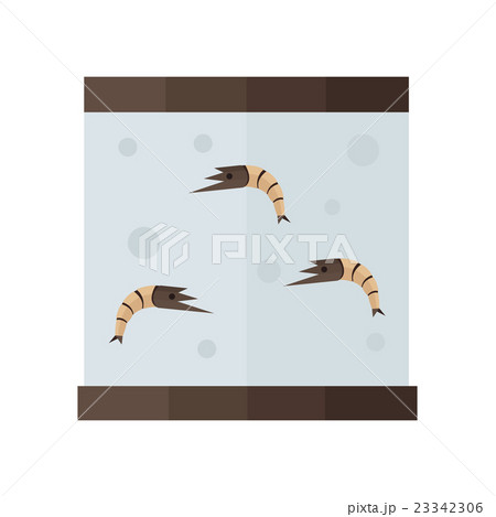 brown shrimp in tank vector brown shrimp in tank vector 23342306