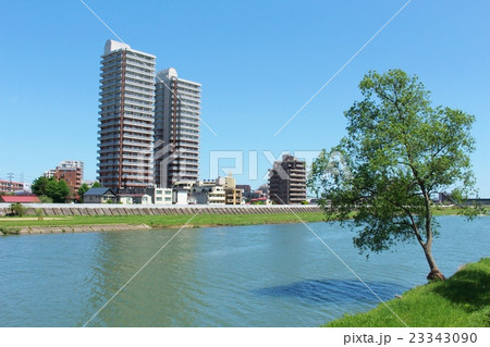広瀬川 一本の木 広瀬川 一本の木 23343090