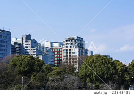 千鳥ヶ淵から見るマンション 23343485