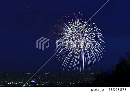 大輪花開く 23343873