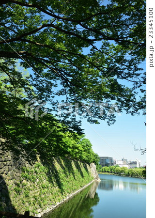 大阪城公園の新緑 大阪城公園の新緑 23345100