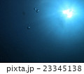 iop 23345138