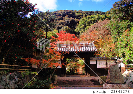 善法律寺（京都　八幡市）境内の紅葉 23345278