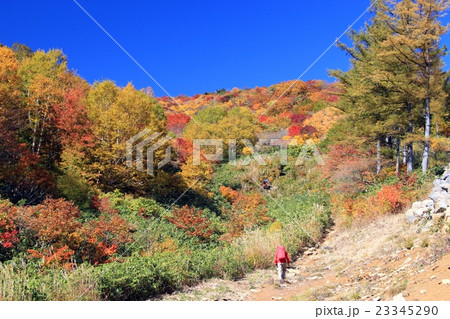 安達太良山の紅葉 23345290