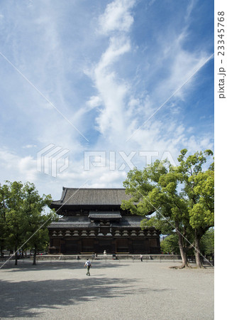 京都 東寺の風景 京都 東寺の風景 23345768