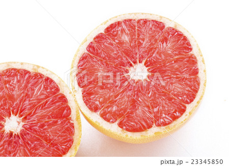 クロ－ズアップ クローズアップ 接写 23345850