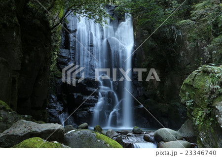 桑の木の滝 桑の木の滝 23346740