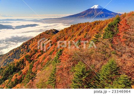 クリアランス最安価格 芸術写真 富士山「朝の光」三つ峠山（山梨県