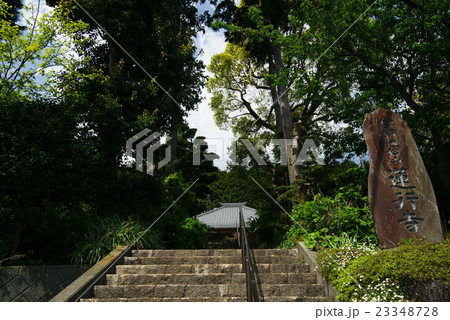 伊豆稲取　蓮行寺 23348728