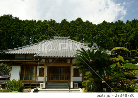 伊豆稲取 蓮行寺 伊豆稲取 蓮行寺 23348730