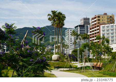 熱海 ジャカランダ遊歩道 の写真素材