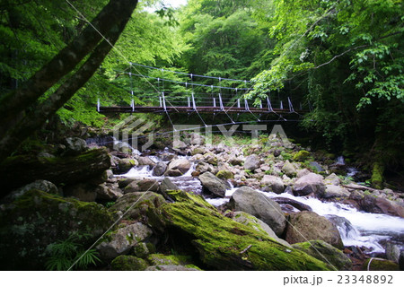 シラヌタ歩道の吊り橋 23348892