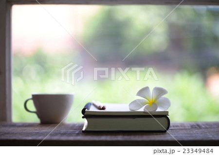 cup and notebooks at windows 23349484