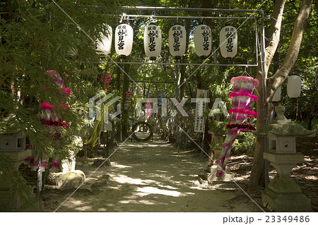 星田妙見宮 七夕祭り 茅の輪 星田妙見宮 七夕祭り 茅の輪 23349486