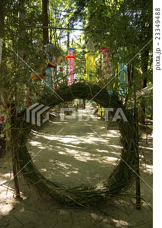 星田妙見宮　七夕祭り　茅の輪 23349488