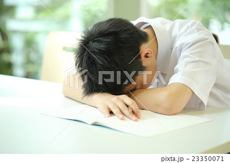 勉強中に寝てしまう学生 23350071