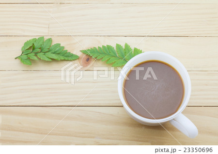 Coffee mug with green foot fern. Coffee mug with green foot fern. 23350696