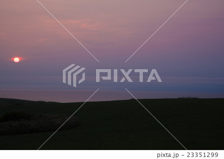 夕日と鹿の群れ 夕日と鹿の群れ 23351299