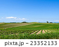 初夏の青空と美瑛の丘 23352133