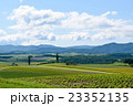 初夏の青空と美瑛の丘 23352135