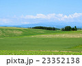 初夏の青空と美瑛の丘 23352138