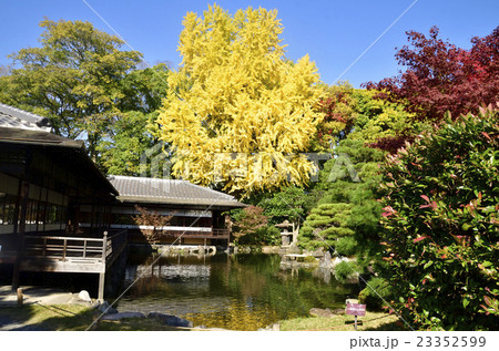 京都 枳殻邸の紅葉 渉成園の池と庭 の写真素材