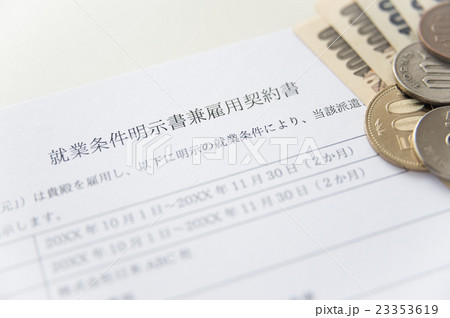 就業期間／雇用契約（派遣） 23353619