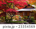 玉泉館跡地公園の紅葉 23354569