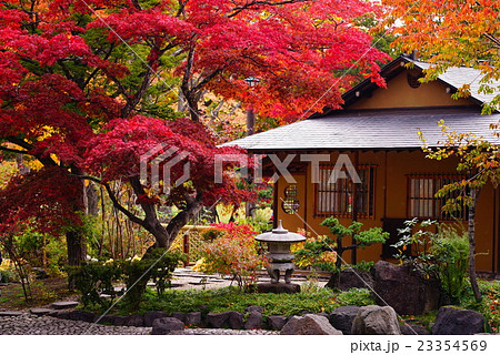 玉泉館跡地公園の紅葉 玉泉館跡地公園の紅葉 23354569