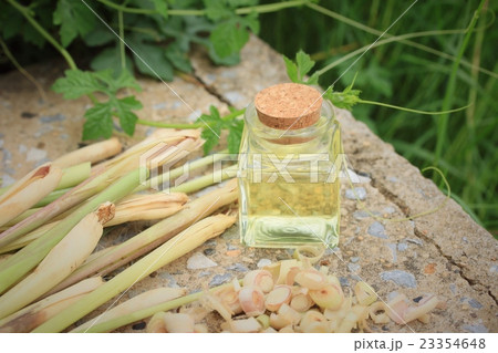 lemon grass essential oil lemon grass essential oil 23354648