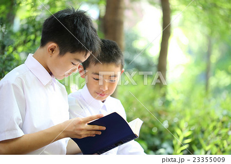 読書する男子中学生 23355009