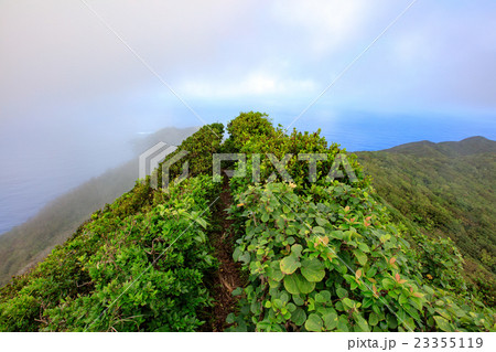 母島、乳房山、遊歩道 23355119