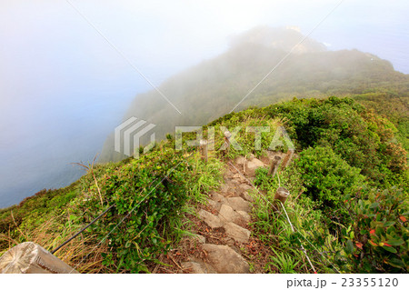 母島、乳房山、遊歩道 23355120