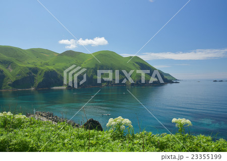 礼文島02 23355199