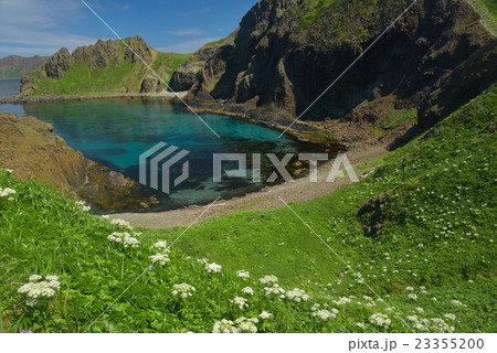 礼文島03 礼文島03 23355200